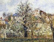 Camille Pissarro Material and Dimensions painting